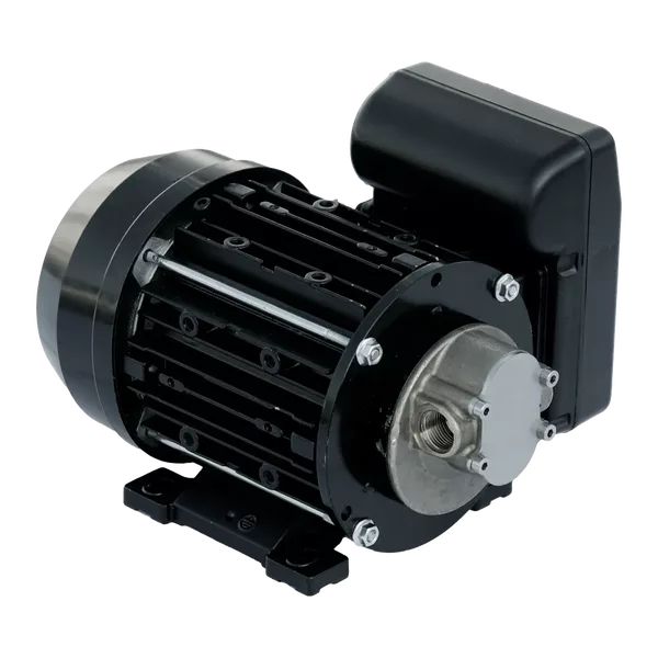 Pump Piusi Garda 5 230v 10LPM